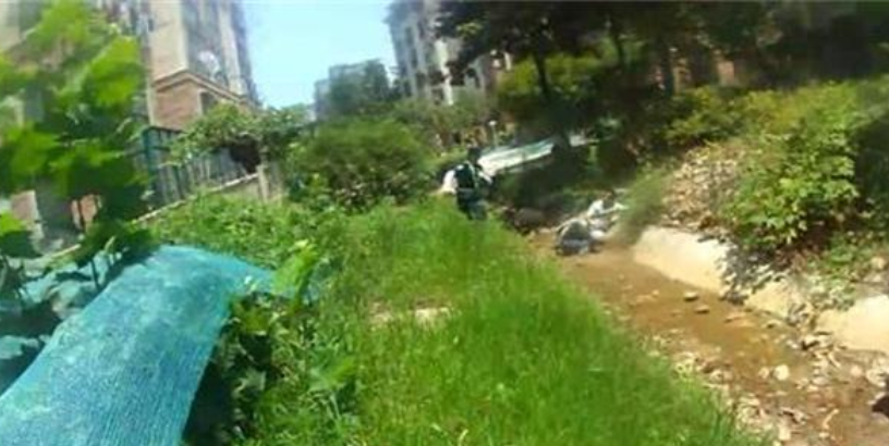 南京一小區(qū)保安勇抓小偷受重傷，業(yè)主自發(fā)捐款 7 萬多元